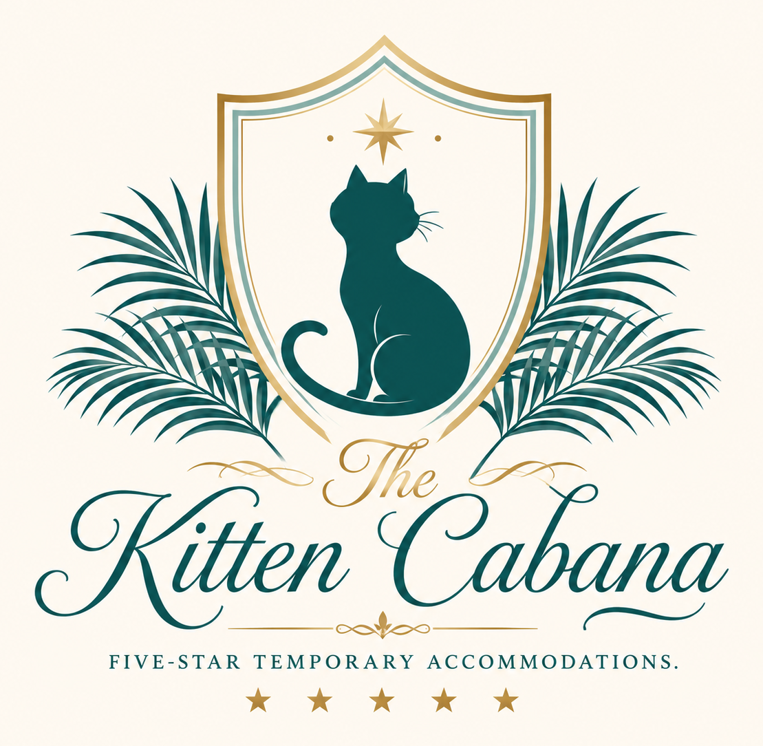 The Kitten Cabana — Five-Star Temporary Accommodations